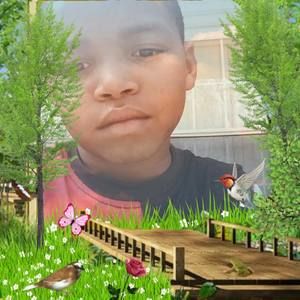 Meet your Posher, Tomuch